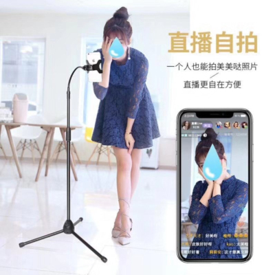 Phone Stand for Live Streaming Selfie Clip Tripod with Supplement Light Beauty Tik Tok Video Recording Shooting Equipment Landing