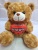 Valentine's Day Holding-Heart Bear Love Holding-Heart Bear Doll Valentine's Day Gift Plush Toy
