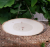 Wood Coaster Natural Wood Slice Pine Wood Slice Tree Slice Wooden Branch Section DIY Door Plate