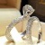 CrossBorder Explosion Accessories Wish Hot Couple Ring Europe Ornament for Examplethe Focus on Engagement Rings