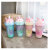 Factory Direct Sales Korean Cute Cat Claw Ice Cup Gradient Double Straw Cup Summer Large Capacity Ice Cup