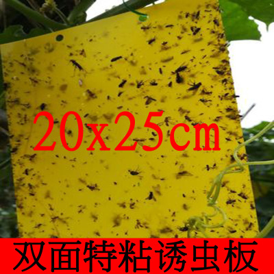 Insect Trap Board Sticky Card Yellow Board with Insect Rebounding to Kill Agricultural Vegetables and Flowers Pests