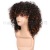 Currently Available Whole New Hot Wig Short Roll Chemical Fiber Wig Female Wigs Human Hair