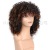 Currently Available Whole New Hot Wig Short Roll Chemical Fiber Wig Female Wigs Human Hair