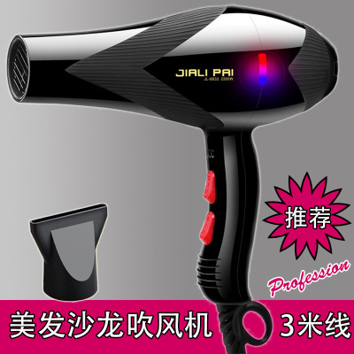 JL 8832 Hair Salon High-Power Hair Dryer Industrial Gift Labeling Customized Household Large Wind Hair Dryer