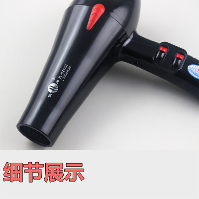 JL Hair Dryer 8218b High Power Household Hair Dryer Hair Salon Professional Hairdressing Constant Temperature Heating and Cooling Air Hair Dryer