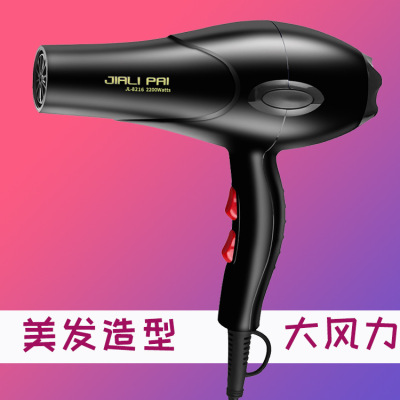 JL 8216 Professional High-Power Hair Salon Hair Dryer Barber Shop Large Wind Hot and Cold Wind Power Hair Dryer