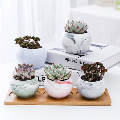 Nordic Succulent Flower Pot Simple Zakka Plant Pot Home Office Ceramic round Small Flower Pot Factory Wholesale