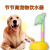 Korean Rainbow Dog Water Fountain New Pet High-Speed Water Feeding Integrated Device Automatic Water Dispenser