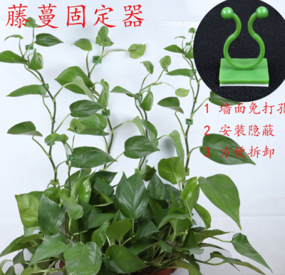 Paste Seamless Hook Green Vine Climbing Wall Holder Green Plant Holder Vine Green Vine Climbing Wall Holder