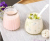 Vertical Stripes Pudding Bottle Yogurt Mousse Cup Jelly Cup-Dividing Baking Mold with Lid Jam Drink Cup