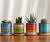 Nordic Style Cylindrical Ceramic Flower Pot Colorful Ceramic Flower Pot Simple Home Plant Pot Flower Pot