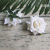 Artificial Craft Flocking Cloth Rose Perianth Decorative Flower Silk Flower Corsage Arch Floral Decorations Wedding Decoration