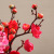 Emulational Plum Chinese Pastoral Simulation Silk Flower Short Dried Branches Wintersweet Theme Cake Decoration Plum Blossom Home Decoration