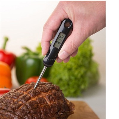 Hot Sale Barbecue Thermometer Probe Food Thermometer Milk Oil Temperature Thermometer