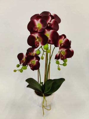 Hand-Feeling Phalaenopsis Emulational Flower Decoration Living Room Decoration Flowers Fake Flower Silk Floral Pot
