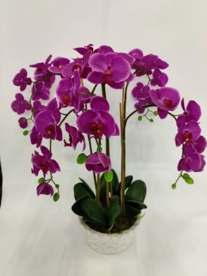 Phalaenopsis Artificial Flower Orchid Fake Flower and Greenery Potted Living Room Dining Table Entrance Front Desk Decorative Floral Decoration