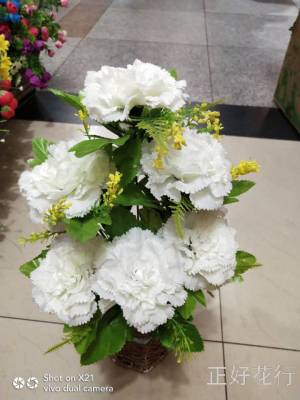 Factory Direct Sales Simulation Plastic Flower 10 Carnation Bedroom Home Decoration Shooting Props DIY Bouquet