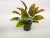 New Black Basin Green Leaf Emulational Plants and Flowers Bonsai Decoration