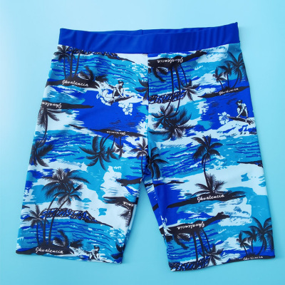Men's Fifth Pants Swimming Beach Hot Spring Pants Nylon Fabric