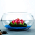 Living Room Creative Glass Vase Fish Tank Fan Hydroponic Tank Glass Fish Tank round Household Fish Globe Ornaments