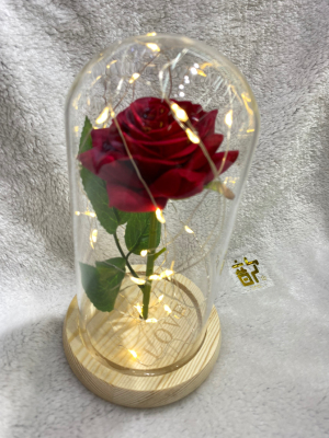 Valentine's Day Hot Product, Glass Cover Artificial Rose Little Prince