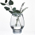 European Creative Dinosaur Egg Vase Transparent Glass Vase Simple Hydroponic Green Dill Flower Plant Glass Vase