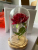 Valentine's Day Hot Product, Glass Cover Artificial Rose Little Prince