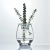 European Creative Dinosaur Egg Vase Transparent Glass Vase Simple Hydroponic Green Dill Flower Plant Glass Vase