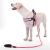 Pet Supplies Reflective Multi-Color round Rope Dog Leash Dog Leash Dog Leash Comfortable Handle Medium and Large Dogs Supplies