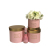 High-Grade Golden Stitching round Three-Piece Set Flower Pot Flower Gift Box