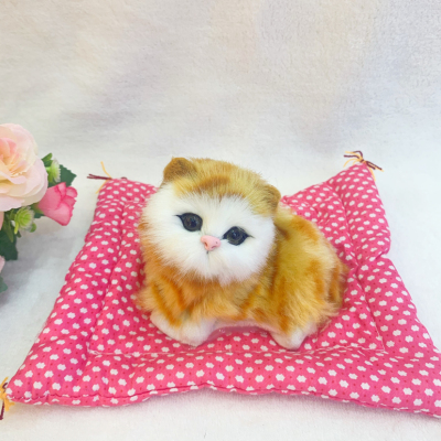 Cloth Mat Kitten Attraction Hot Sale