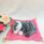 Cloth Mat Little Sleeping Cat Gifts for Classmates Small Gift for Friends Cute Kitten with Music