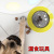 Amazon Hot Pet Supplies Bite-Resistant Dog Toy Frisbee UFO Food Dropping Ball Puzzle Dog Supplies