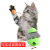 Pet Supplies Amazon Hot Tumbler Kitten Toy Food Dropping Ball Funny Cat Stick Toy Ball Self-Hi Gadgets
