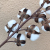 8 heads dried cotton stems natural artificial flower  decorative Wedding  home party living room long branch