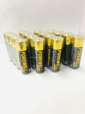 Forewell Alkaline Battery