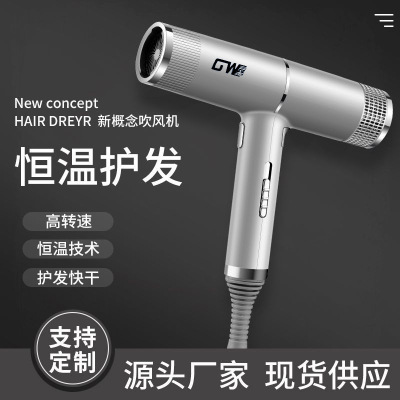 2020 New New Concept Cross-Border E-Commerce for Hair Salon Hair Dryer Internet Celebrity High Power Temperature Control Electric Hair Dryer
