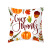 Gm125 Pumpkin Thanksgiving Pillow Cover Custom Ins Nordic Peach Skin Fabric Pillow Cushion Cover Household Supplies