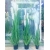 Simulated aquatic plant onion grass decoration reed flower soft decoration flower arrangement