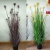 Simulation plant potted flower art onion grass sunny grass bonsai flower decoration hotel green plant ornaments