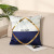Nordic Simple Velvet Pillow Case Living Room Sofa Affordable Luxury Throw Pillowcase Ins Style Cross-Border Hot Selling Lumbar Cushion Cover Wholesale