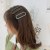 Drop-Resistant Hairpin Shower Updo Headdress Simple All-Match Back Head Ponytail Hairpin Ornament For Women