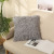 Nordic Ins Style Feather Pillow Case Modern Living Room Bedroom Non-Core Cushion Cover Cross-Border Hot Selling Pillow Case