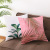 Gm025 Light Color Tropical Plant Summer Cross-Border Hot Selling Style Popular Home Decoration Peach Skin Fabric Pillow Cover