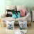 Gm025 Light Color Tropical Plant Summer Cross-Border Hot Selling Style Popular Home Decoration Peach Skin Fabric Pillow Cover