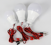12V Globe African Thailand Led with Clip