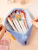 Pre-Sale Online Influencer Cute Plush Pencil Bag Large Capacity Primary School Student Korean Girl Trendy Stationery Pencil Case INS Fashion