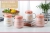 New Creative Personalized Cup Ceramic Mug Trendy Household Couple Water Cup Coffee Cup with Lid Tea Cup