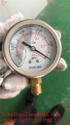 Professional Production Pure Water Machine Special Shock-Proof Oil Pressure Gauge 1mpa Hydraulic Double Needle Shock-Resistant Pressure Gauge